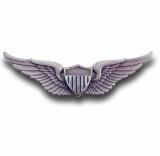 That_Pilot_Manjyot